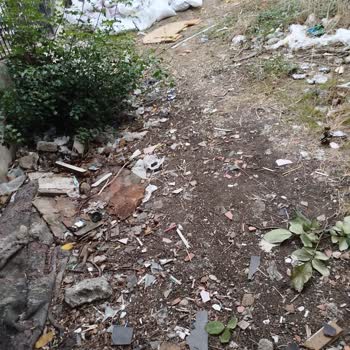 Boş Arsada Biriken Çöpler Çocuklar Ve Hayvanlar İçin Tehlike Oluşturuyor