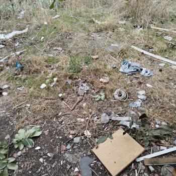 Boş Arsada Biriken Çöpler Çocuklar Ve Hayvanlar İçin Tehlike Oluşturuyor