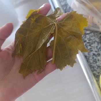 Siparişim Bayat Ve Bozuk Geldi, Mağduriyetim Giderilmedi