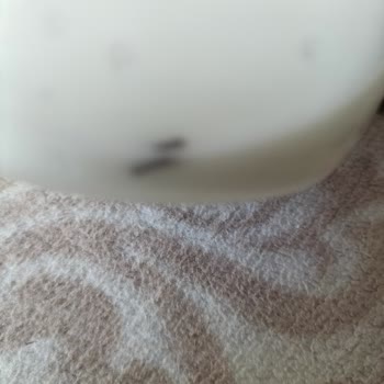 Mama Kutusunda Yabancı Cisim Şoku: Para İadesi Talebim Var