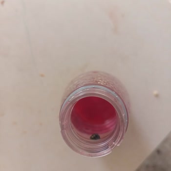 Serfressh Şalgamda Sinek Çıkması Ve İletişim Sorunu