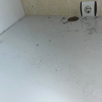 Vestel Kurutma Makinesi Arızası Ve Servis İlgisizliği Mağduriyetim