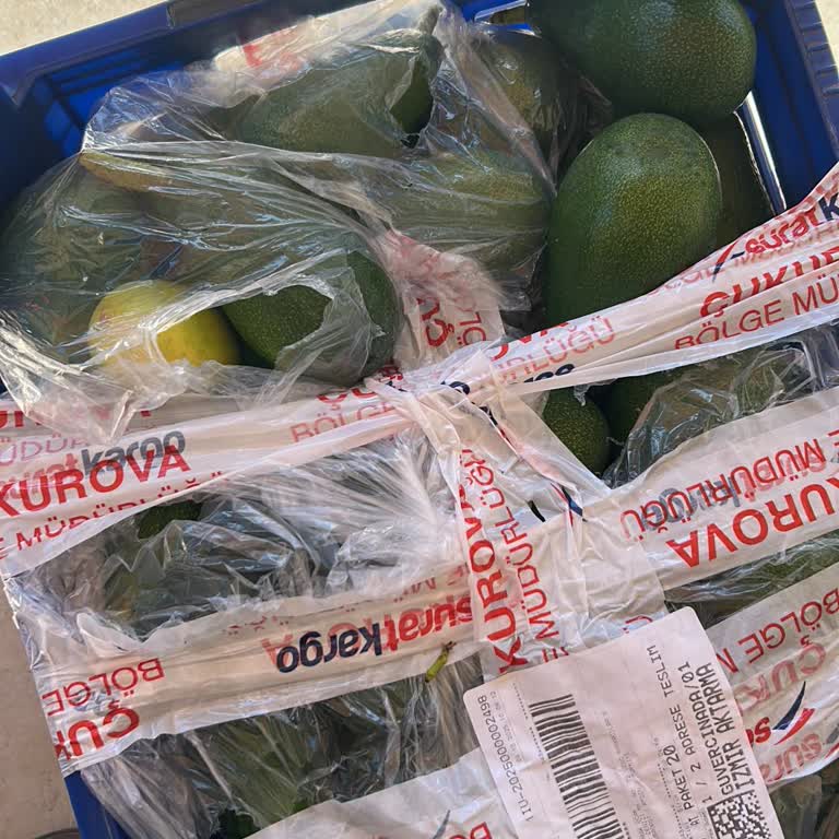 Kargo İle Gelen Avokado Siparişim Eksik Ve Poşeti Yırtılmış Şekilde Teslim Edildi