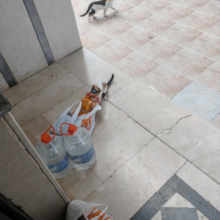 Siparişim Kapıya Bırakıldı, Hijyen Ve Güvenlik Riski Yaşadım