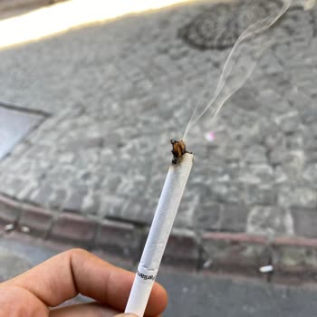 Parliament Night Blue Sigara Paketlerinde Sürekli Kalitesiz Tütün Ve Yabancı Madde Sorunu