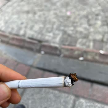 Parliament Night Blue Sigara Paketlerinde Sürekli Kalitesiz Tütün Ve Yabancı Madde Sorunu