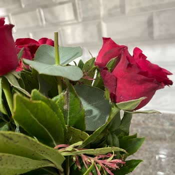 Gönderilen Çiçekler Solmuş Ve Kalitesizdi