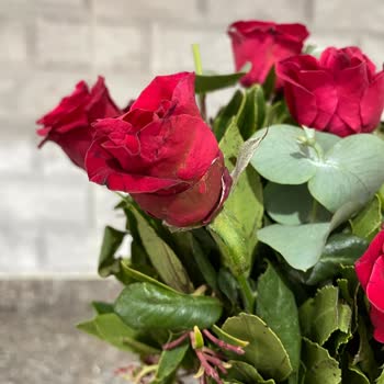 Gönderilen Çiçekler Solmuş Ve Kalitesizdi