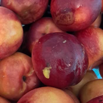 Geç Teslimat Ve Çürük Meyveyle Mağduriyet