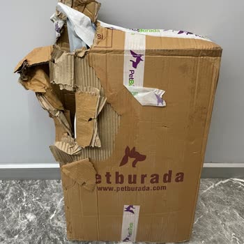 Yırtık Kedi Maması Paketi Ve İlgisiz Müşteri Hizmetleri