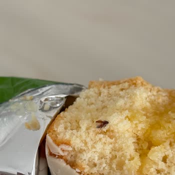 Eti Pop Kek Limonlu Ürününün İçinden Böcek Çıktı