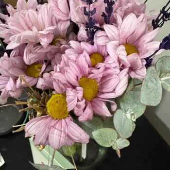 Sipariş Edilen Çiçek Solmuş Ve Eski Geldi, Çiçek Sepeti’nden Çözüm Bekliyorum