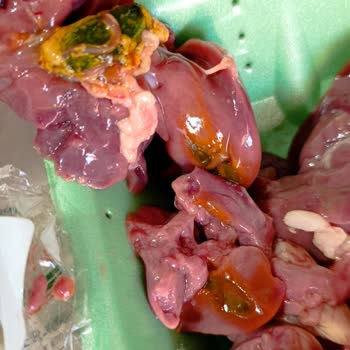 Aldığım Piliç Ciğer-yürek Bozuk Çıktı, Tazelik Ve Güvenlik Konusunda Endişeliyim