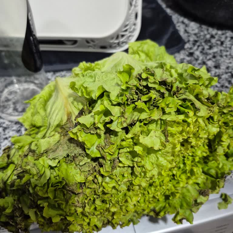 Siparişler Geç Geliyor, Eksik Ve Bozuk Ürünler Teslim Ediliyor, Çözüm Sunulmuyor