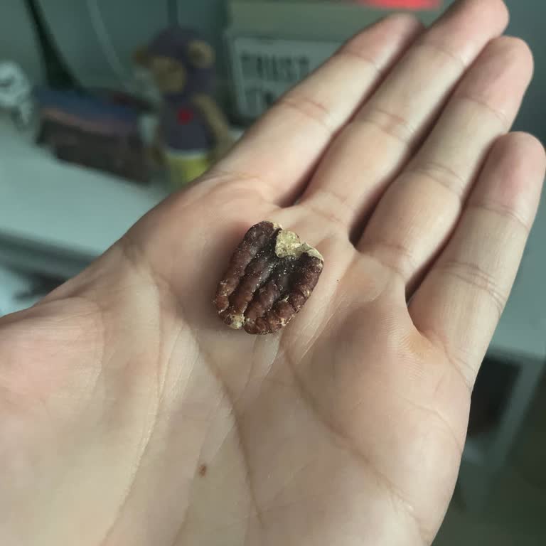 Satın Aldığım Kuruyemiş Bayat Çıktı, Memnuniyetsizlik Yaşadım