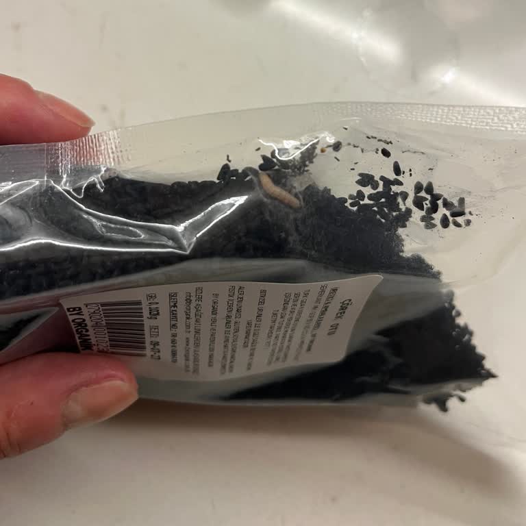 By Organik Çörekotu Daha Paketi Açılmadan Kurtlandı