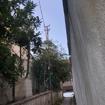 Sokak Lambası Ve Direk Eksikliği Uzun Süredir Giderilmiyor