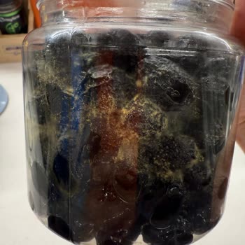 Özgün Zeytin Aldığım Siyah Zeytinler 1 Ayda Küflendi, Para İadesi İstiyorum