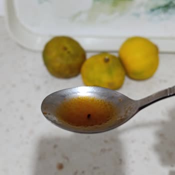 Domates Salçasında Yabancı Madde Ve Hijyen Sorunu Mağduriyeti