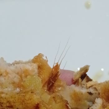 Yemekte Ayrık Otu: Hijyen Ve Gıda Güvenliği Riski!