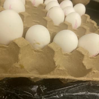 BİM'den Aldığım M Boy Yumurtaların Boyutları Tutarsız Çıktı