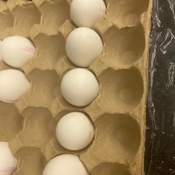 BİM'den Aldığım M Boy Yumurtaların Boyutları Tutarsız Çıktı