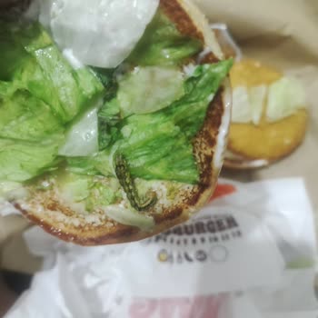 Burger King Tavuk Burger Siparişimde Kurt Çıkması Nedeniyle Yaşadığım Mağduriyet