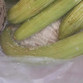 Beko Yeni Alınan Buzdolabı Sebzeleri Donduruyor, Servis Çözüm Sunamıyor