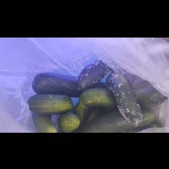 Beko Yeni Alınan Buzdolabı Sebzeleri Donduruyor, Servis Çözüm Sunamıyor