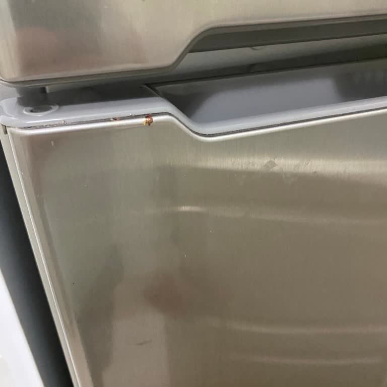 Bosch Buzdolabında Garanti Sonrası Kapı Paslanması Ve Ücretsiz Parça Talebi