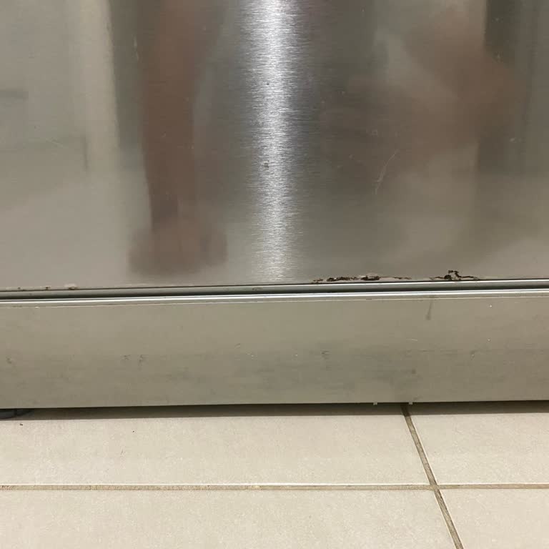 Profilo Bulaşık Makinesi Kapağındaki Paslanma Garanti Bitiminden Sonra Hızla Arttı