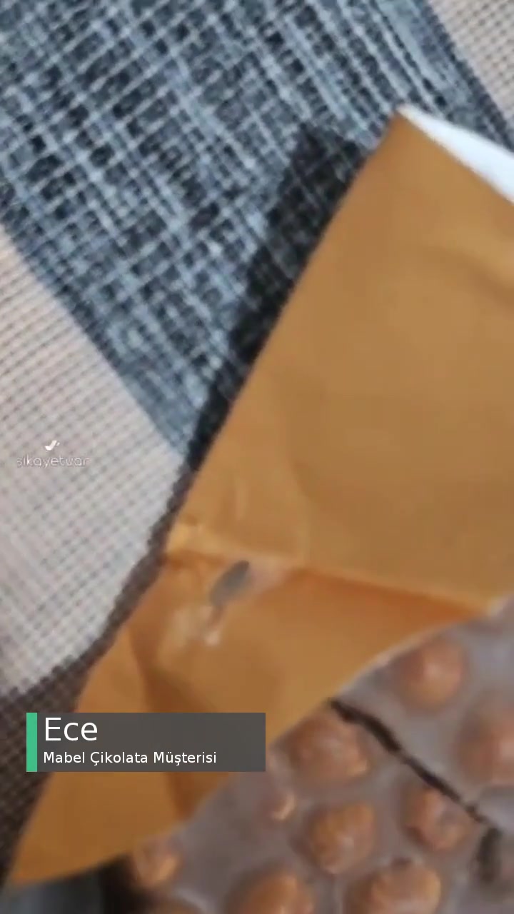 Mabel Çikolata, Kusurlu Böcekli Ürün videonun kapak resmi