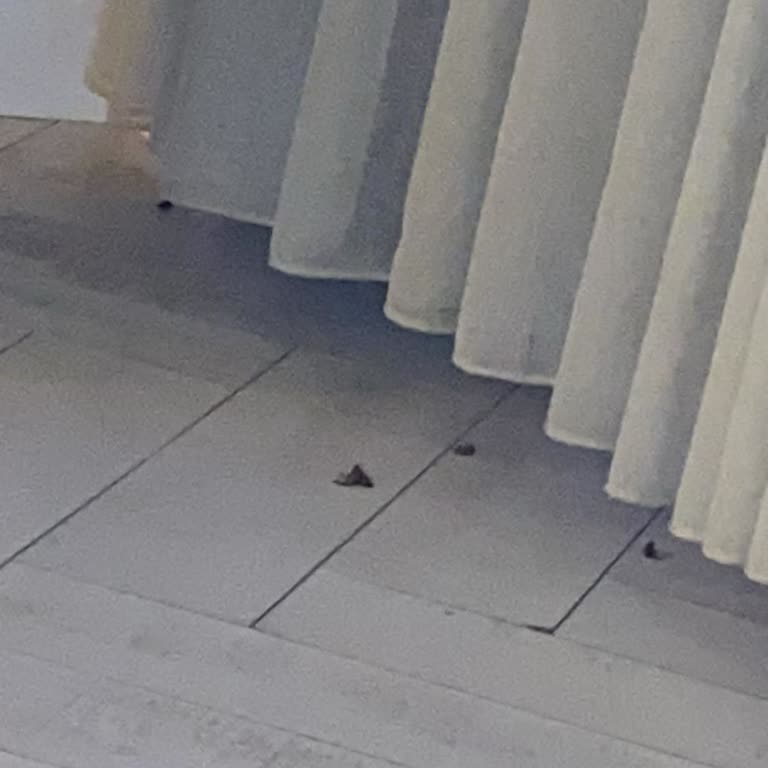 Kaia Bungalow’da Hijyen, Güvenlik Ve İlgisizlik Nedeniyle Mağduriyet