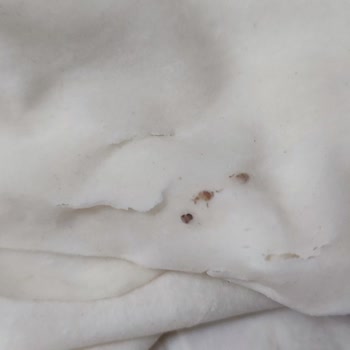 Melcan Yufka Paketinin İçinde Minik Minik Böcek Parçaları Olduğunu Fark Ettim