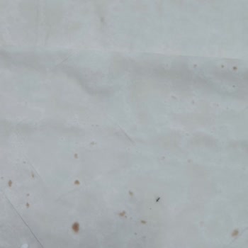 Melcan Yufka Paketinin İçinde Minik Minik Böcek Parçaları Olduğunu Fark Ettim