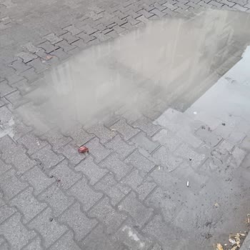 Haznedar Mahallesi'nde 2 Yıldır Süren Yol Ve Su Birikintisi Sorunu