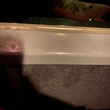 Can İstanbul Turizm Otobüs Yolculuğunda Yağmur Suyu ve İlgisiz Personel Mağduriyeti