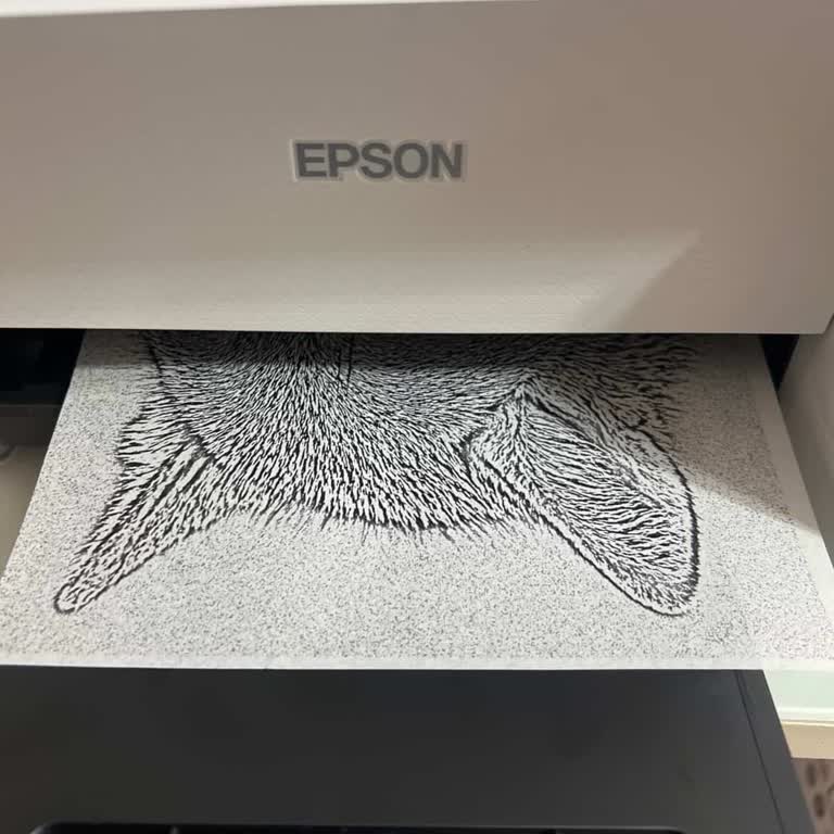 Yeni Yazıcıya Yüksek Tamir Ücreti Ve Şeffaf Olmayan Teknik Servis Mağduriyeti