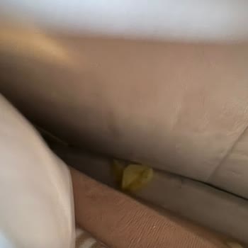 Hijyen Sorunu Ve Ücret İadesi Talebim Karşılanmadı