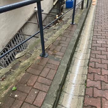 Beşiktaş Belediyesi'nin Ağaç Kesimi Ve Bilgilendirme Eksikliği