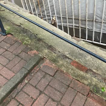 Beşiktaş Belediyesi'nin Ağaç Kesimi Ve Bilgilendirme Eksikliği