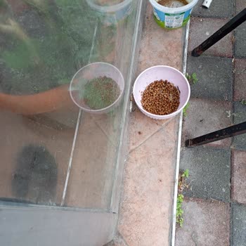 Kediler Mamasını Yemedi, İade İçin Siteye Ulaşamıyorum