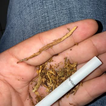 Sigara Paketinden Tahta Parçası Çıkması Nedeniyle Sağlık Ve Güven Sorunu