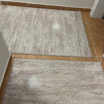 Emsalsiz Halı Yıkama Fatura Verilmemesi, Eksik Temizlik Ve İzinsiz Ses Kaydı Nedeniyle Mağduriyet