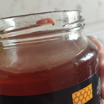 Aldığım Bal Kavanozunda Kurt Çıkması Nedeniyle Hayal Kırıklığı Yaşadım