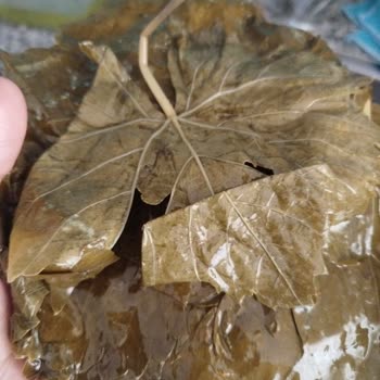 Sipariş Sonrası Kalitesiz Ürün Ve İade Sorunu Yaşadım