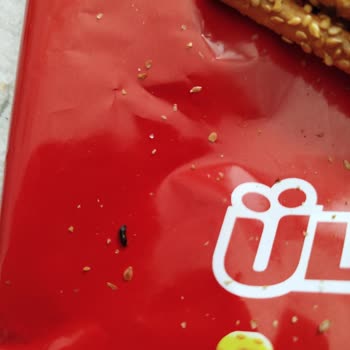 Aldığım Krakerin İçinden Hijyen Dışı Madde Çıktı, Denetim İstiyorum