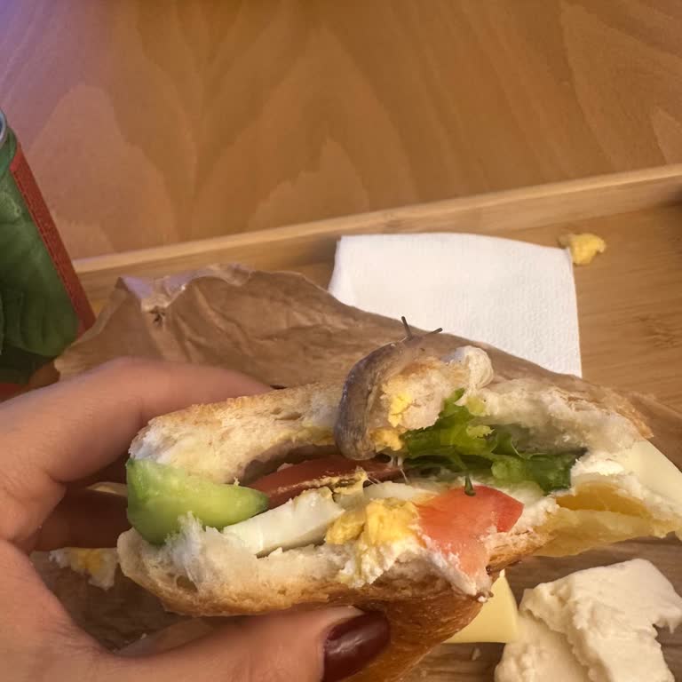 Cemwich Sandviçi Yerken İçinde Canlı Ve Oldukça Büyük Bir Sümüklü Böcek Olduğunu Fark Ettim