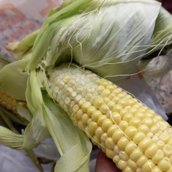 Migros Hemen'den Aldığım Bozuk Mısır Ürünü Hayal Kırıklığı Yarattı