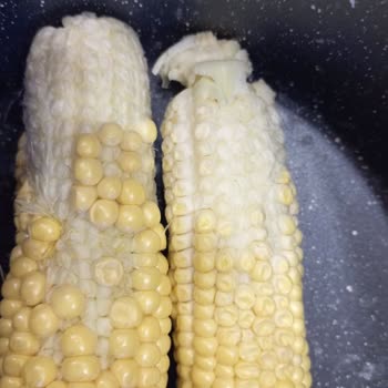 Migros Hemen'den Aldığım Bozuk Mısır Ürünü Hayal Kırıklığı Yarattı